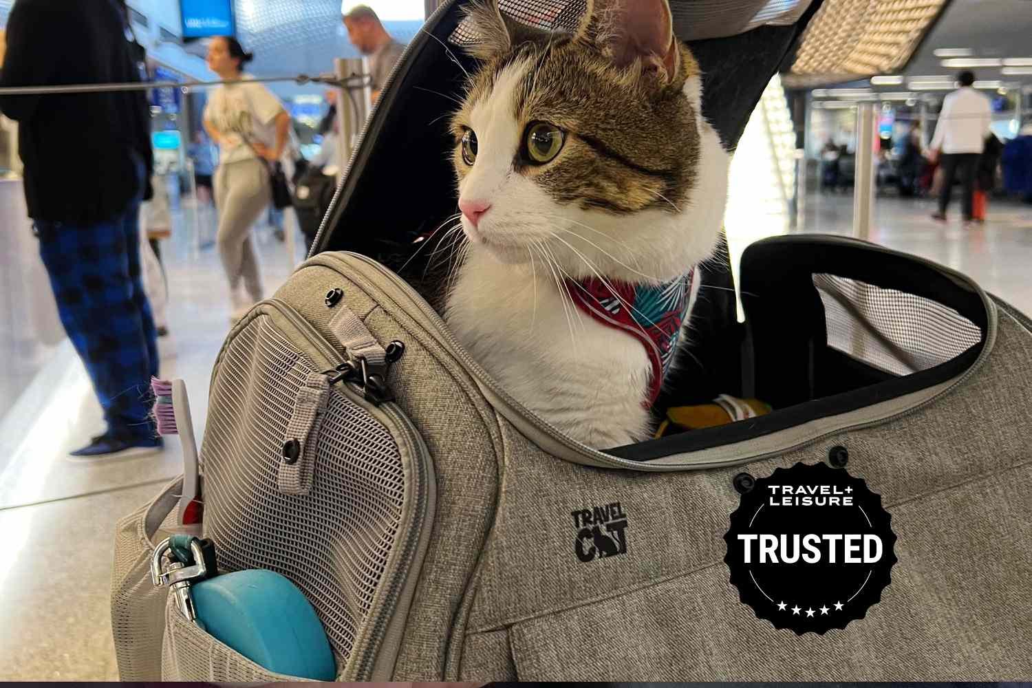 tl-trusted-tal-airline-approved-pet-carriers-test-transpurrter-morgan-ashley-parker-e035a1ced68c415c8a60ef9adbe60d9e